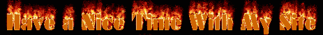 Sick photo of flames that says 'Have a nice time with my site.'